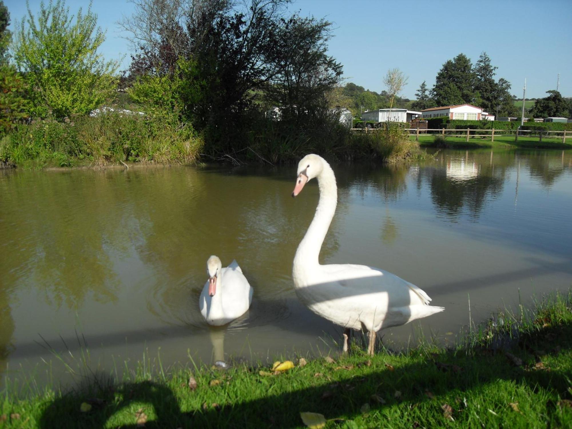 Camping Le Marqueval Hotel Pourville-sur-Mer Luaran gambar